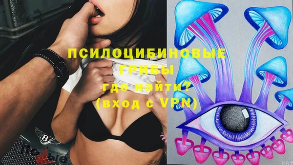 первитин Армянск