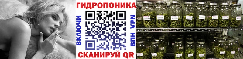 МАРИХУАНА OG Kush  Гурьевск 